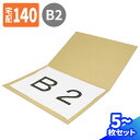 ダンボールシート B2 5枚~50枚 (760×550) ダンボール板 写真 B2サイズ 2つ折 ぺったんこ 段ボール 板 ビジュアルボード 発送 薄型 140サイズ 梱包 梱包資材 梱包材 ダンボールパッド フォト 保管 ポスター 台紙 工作用 シート B2 宅配140 (1288)
