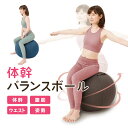 NEEDS LABO ニーズラボ 健康器具 バランスボール 体幹バランスエクサボール エクササイズ 乗馬運動 姿勢 腹筋 ウエスト 簡単 トレーニング 巣ごもり...