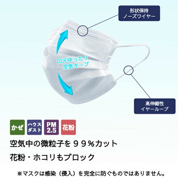 【土日もあす楽】マスク 50枚 10箱セット 個包装 大人用 立体型 使い捨て 3層構造 不織布マスク ふつうサイズ ホワイト かぜ 花粉 ハウスダスト 立体マスク 送料無料