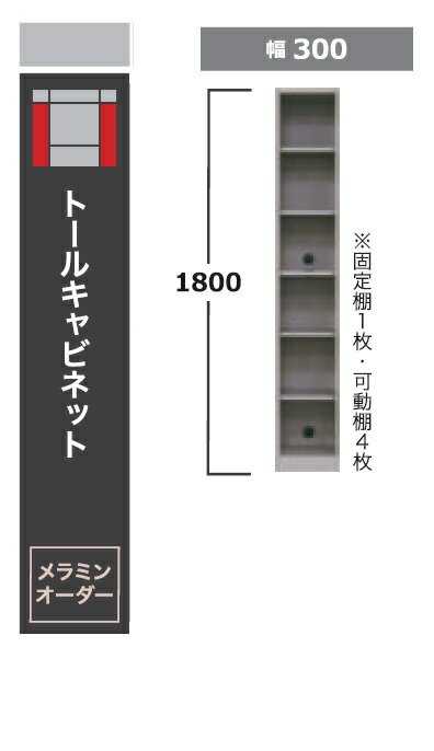 商品説明サイズバレッタ 30　トールキャビネットAB-30TW300mm×D425mm×H1800mm材質 本体：プリント化粧板（ホワイト）EBコート可動棚4枚、固定棚1枚 色本体：スタイルパイングレー色商品説明■豊富なユニットアイテムの組み合わせで自由自在にプランニングが可能です。使い勝手にもこだわり抜いた設計で、ライフスタイルにフィットする収納が実現できます。 ■ミニマルなデザインや機能はFシリーズ（フリージア）を踏襲。主にローボード、ミドルボード、壁面収納の3つの要素で構成され、テレビボードだけでなく デスクやワードローブなど、シーンと用途に合わせて組み合わせを選ぶことができます。■高い安全性のF☆☆☆☆ 生産国日本　