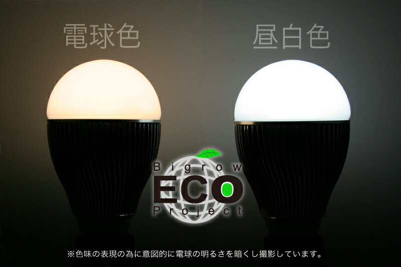 BIGROW eco Project 高性能高輝度 LED電球（E26) 強力7W 球形状　アルミニュウムのヒートシンク構造ボディー エコ 1円で6時間点灯　2sp_120511_a