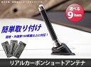 リアルカーボンショートアンテナ ...