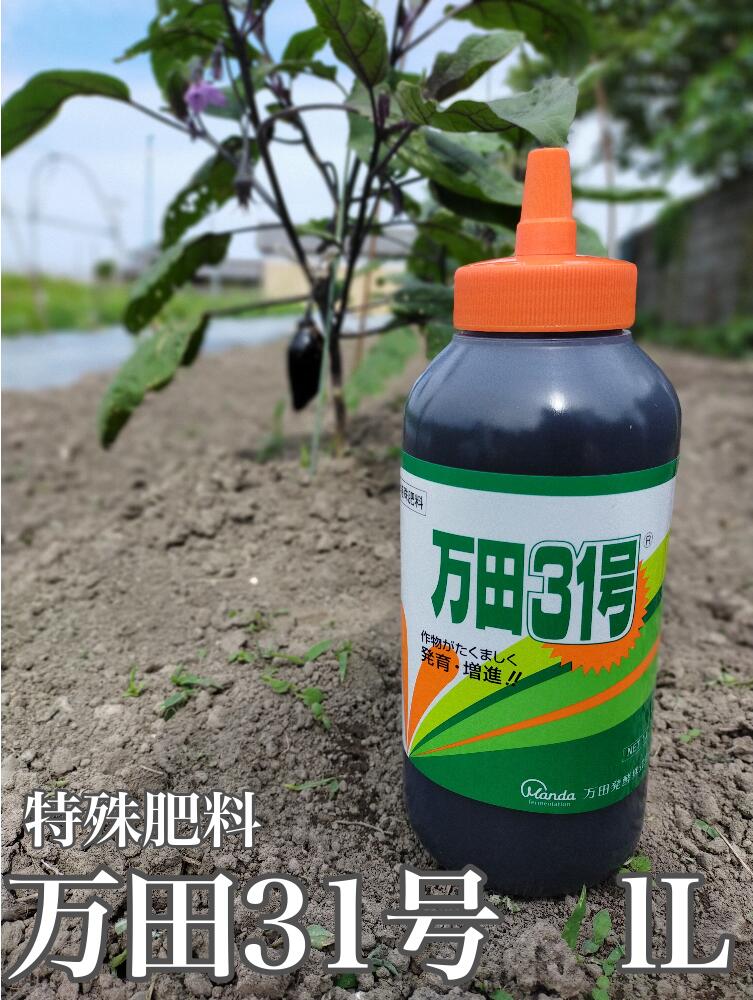 植物剛健プラス 500ml 福井シード 野菜にプラスアミノ酸 活力剤 送料無料 代金引換不可
