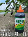 【送料無料・まとめ買い×5】フマキラー　カダン バランス液肥AO あらゆる植物用 600ml ( 液肥 園芸肥料 ) ×5点セット ( 4902424409451 )