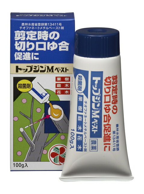 住友化学園芸 トップジンM ペースト 100g　傷口の治りを早め、病原菌の侵入を防ぐ 果樹や樹木の切り口、傷口の治りを早める塗る殺菌剤 園芸 ガーデニング 家庭園芸用農薬