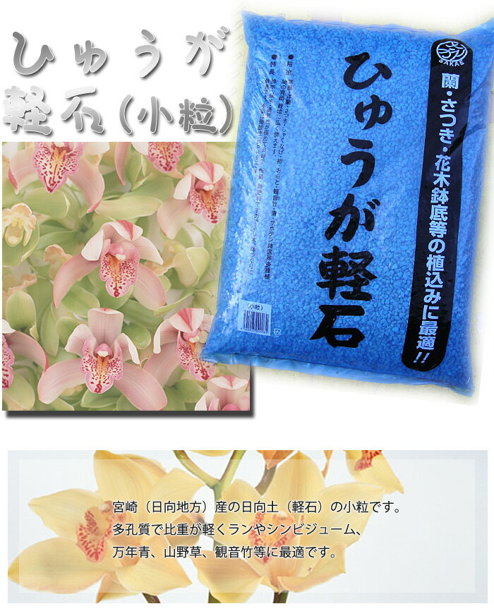 【宮崎県産】 日向土 軽石 小粒 18L ひゅうが土 蘭（ラン）やサツキ、山野草に 鉢底石にも シンビジューム 洋蘭 観音竹 万年青 本場宮崎県産の軽石です。園芸やガーデニングに欠かせません