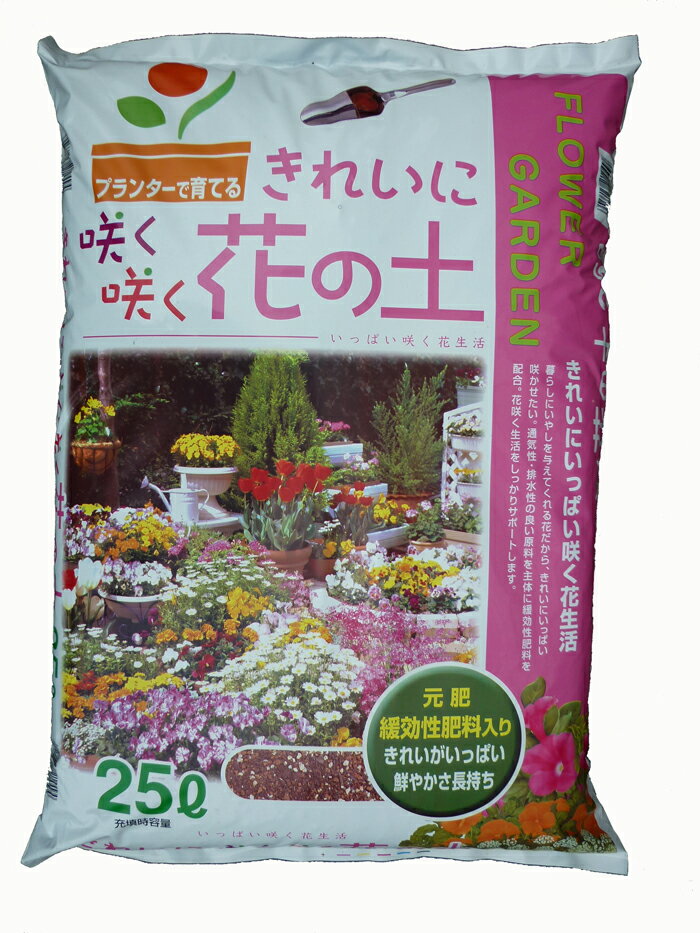 真夏の暑さに強い 宿根バーベナの育て方講座 多年草タイプならではの魅力も伝授 Kurashi No