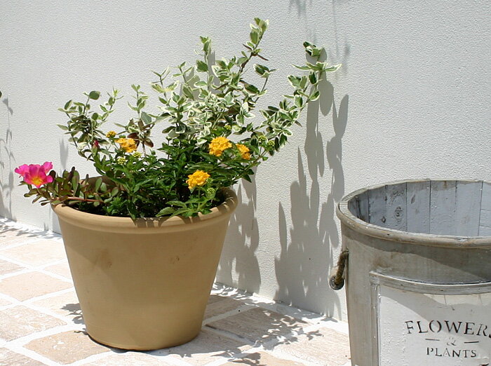 スペイン製植木鉢 フローラ(デコレーション) 15～30cm 素焼き鉢 ポット プランター 園芸 ガーデニング 陶器鉢 かわい…
