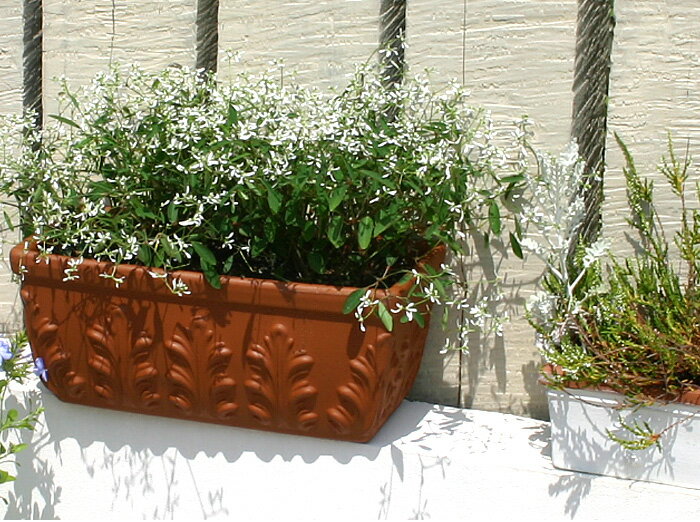 イタリアデローマ社製植木鉢 ロー