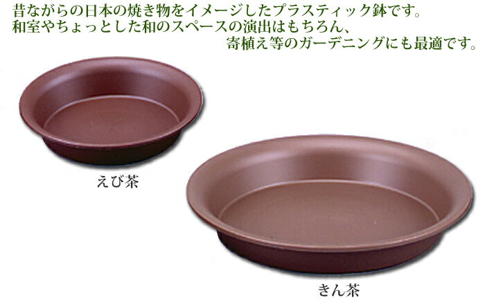アップルウェアー 陶鉢皿3.5～10号 