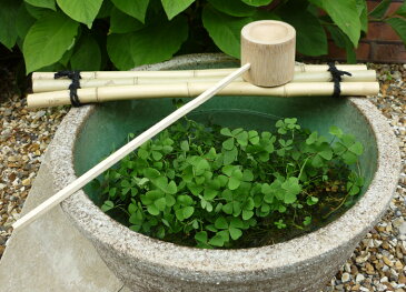 〜和風庭園を求めて〜　竹製ひしゃくセット 15〜17号用　睡蓮鉢やつくばいにどうぞ 園芸 ガーデニング 和風庭園を演出する睡蓮鉢。その飾りつけに欠かせない柄杓セットです。