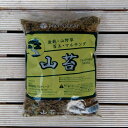 プロトリーフ 山苔 約2L (充填時)　盆栽 山野草 苔玉 鉢土の乾燥防止 土のハネ防止に マルチング 園芸 ガーデニング 日本庭,茶室の露地 潤いのある癒し空間 保湿