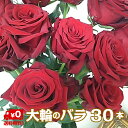 【クール便出荷】 バラ 30本 花束 プロポーズ 大輪 輸入 記念日 誕生日 ローズ 発表会 還暦祝い 生花 花 ブーケ お花 フラワー おすすめ 人気 歓送迎...