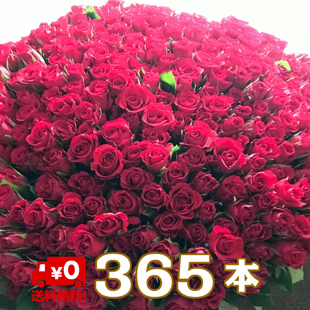 バラ 花束 365本 花 お花 フラワー 生花 薔薇 赤い薔薇 ブーケ ギフト プレゼント 誕生日 お誕生日 お祝い 記念日 発表会 ピアノ発表会 見舞い ウェディング 結婚式 プロポーズ 卒業 切り花 宅配 退職祝い 周年 還暦 大きい アレンジメント 母の日 カスミソウ かすみ草