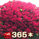 バラ 花束 365本 花 お花 フラワー 生花 薔薇 赤い薔薇 ブーケ ギフト プレゼント 誕生日 お誕生日 お祝い 記念日 発表会 ピアノ発表会 見舞い ウェディング 結婚式 プロポーズ 卒業 切り花 宅配 退職祝い 周年 還暦 大きい アレンジメント 母の日 カスミソウ かすみ草