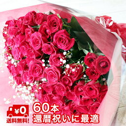 60本の赤いバラ バラ 花束 60本 還暦祝い 40cm以上 赤 赤バラ かすみ草 付き【安心のクール便出荷】 還暦 お祝い 歳祝い 女性 男性 男 花 花束 ブーケ 薔薇 ばら バラの花束 プレゼント ギフト 母 父 父親 結婚記念日 結婚祝い プロポーズ 誕生日 赤 おしゃれ かわいい 母の日 カスミソウ