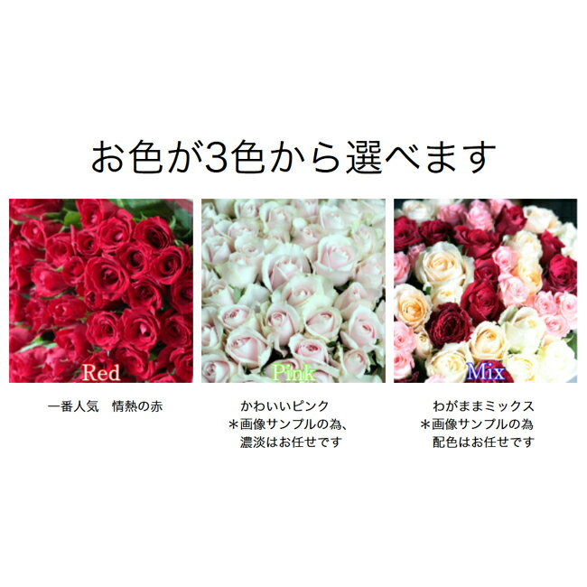 期間限定10 Off 全色同価格 バラ 花束 70本 古希 古希祝い お祝い 誕生日 記念日 送別 結婚記念日 贈り物 ローズ 薔薇 バラの花束 花 ブーケ お花 フラワー 女性 ギフト プレゼント サプ