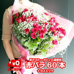 https://thumbnail.image.rakuten.co.jp/@0_mall/auc-bisesflower/cabinet/imgrc0083795813.jpg