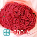 バラ 花束 300本 花 お花 フラワー 生花 薔薇 赤い薔薇 ブーケ ギフト プレゼント 誕生日 お誕生日 お祝い 記念日 発表会 ピアノ発表会 見舞い ウェディング 結婚式 プロポーズ 卒業 切り花 宅配 退職祝い 周年 還暦 大きい アレンジメント 母の日 カスミソウ かすみ草