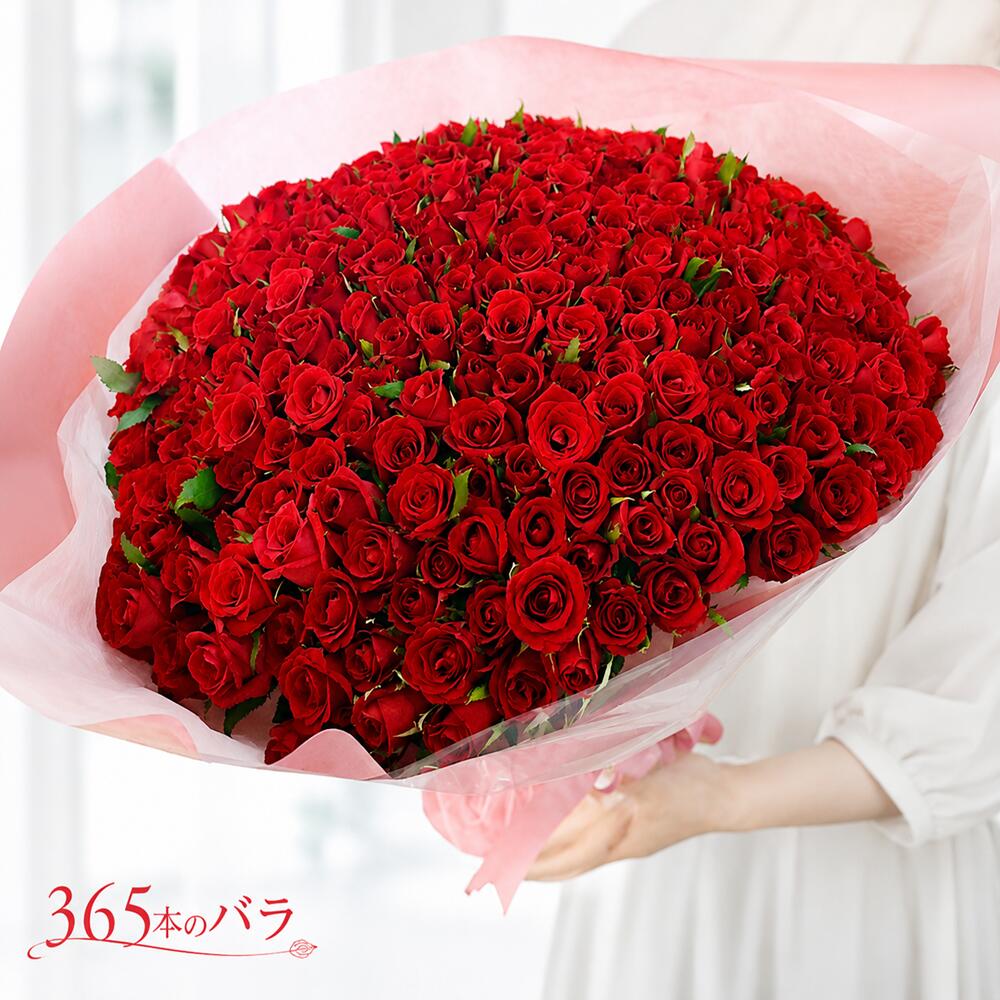 Carnation - バラ 花束 365本 花 お花 フラワー 生花 薔薇 赤い薔薇 ブーケ ギフト プレゼント 誕生日 お誕生日 お祝い 記念日 発表会 ピアノ発表会 見舞い ウェディング 結婚式 プロポーズ 卒業 切り花 宅配 退職祝い 周年 還暦 大きい アレンジメント 母の日 カスミソウ かすみ草