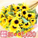 【送料無料】 ヒマワリ 30本 花束 誕生日 プレゼント ひ...