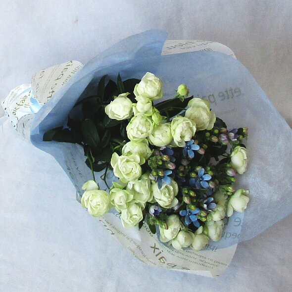 ブルースター 花言葉/信じあう心 用途 各種お祝い・記念日・お供え 花材 ブルースター・カスミ草 サイズ 　長さ：約40cm 大切な方へ贈るお祝いやプレゼントに最適なギフト対応を承ります。 各商品に付いているアイコンの説明は以下の通りです。 ●●●セロファンでのラッピングになります。　　詳細　　●●● ●●●商品により　カードタイプになる場合があります。　●●● ●●●商品により　カードタイプになる場合があります。　●●● ●●●御用途に合わせた　メッセージカードのご用意があります。　詳細●●● ●●●代筆となります。●●● 【smtb-TK】