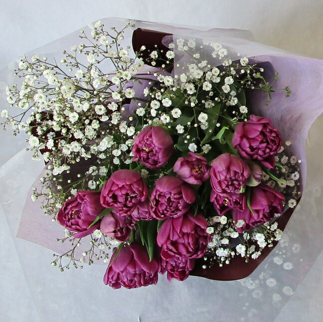 パープルチューリップ10本＆カスミソウブーケ 送料無料