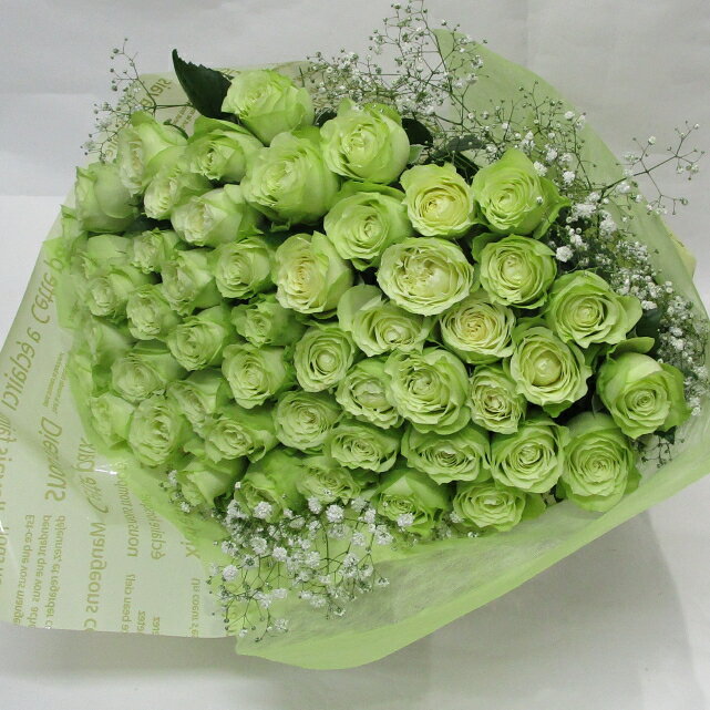バラの花束/グリーンローズ花束【緑のバラ】【結婚祝い 花】【誕生日 花】50本とかすみ草