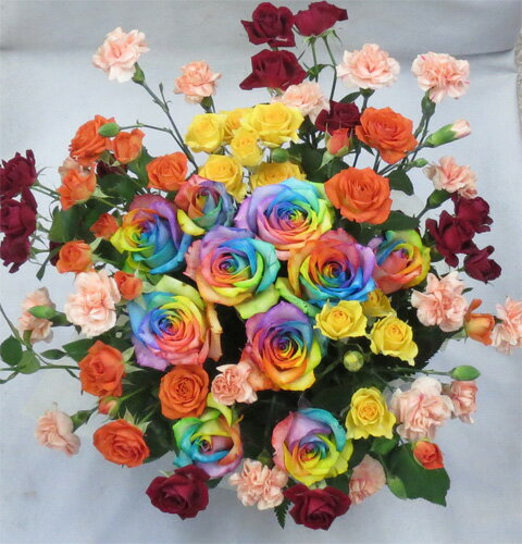 バラのアレンジメント/レインボーローズ10本・SPバラ・SPカーネーション