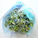 ブルースターとカスミ草の花束☆送料無料!【smtb-tk】【花言葉 幸福な愛 信じあう心】クール便サービス