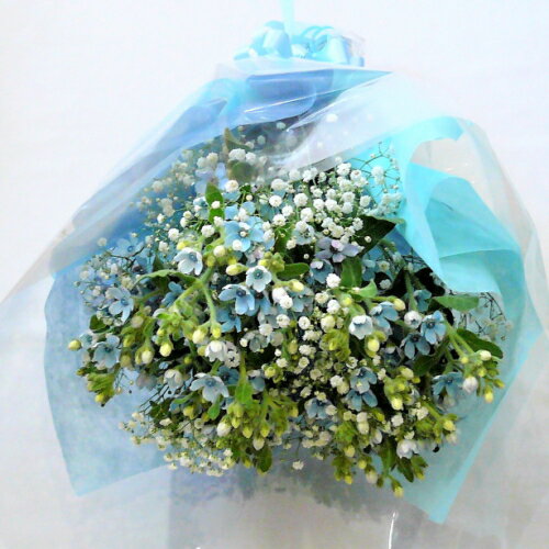 �֥롼�������ȥ�������β�«������̵������smtb-tk�ۡڲָ��ա���ʡ�ʰ��������������ۥ������إ����ӥ�