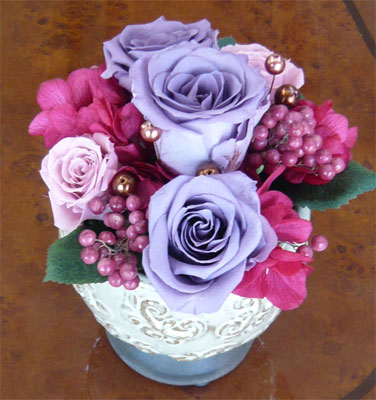 �ץꥶ���֥ɥե�/�⡼���٥꡼