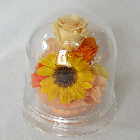 プリザーブドフラワー/ガーベラ・バラドーム オレンジ＆イエロー【プリザーブドフラワードーム】【プリ..