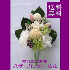 https://thumbnail.image.rakuten.co.jp/@0_mall/auc-bloomart/cabinet/p-30/02349444/imgrc0066589488.jpg