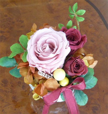 �ץꥶ���֥ɥե�/�ץ��٥꡼�ڳڥ���_�����ۡڳڥ���_�Τ��ۡڳڥ���_�Τ�����ۡڳڥ���_��å��ۡڳڥ���_��å����ϡ�