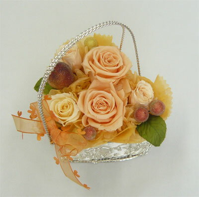 �ץꥶ���֥ɥե�/��֥ϡ��ȡ�����󥸡ڳڥ���_�����ۡڳڥ���_�Τ��ۡڳڥ���_�Τ�����ۡڳڥ���_��å��ۡڳڥ���_��å����ϡ�