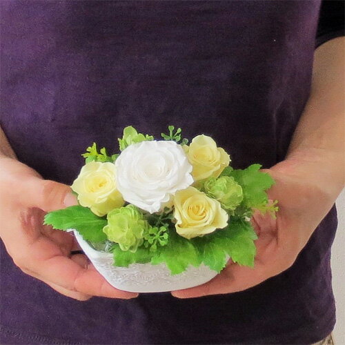 �ץꥶ���֥ɥե�/�ѥ��ƥ�ۥåסڳڥ���_�����ۡڥץꥶ���֥ɥե����եȡۡڳڥ���_��å��ۡڳڥ���_��å����ϡ�