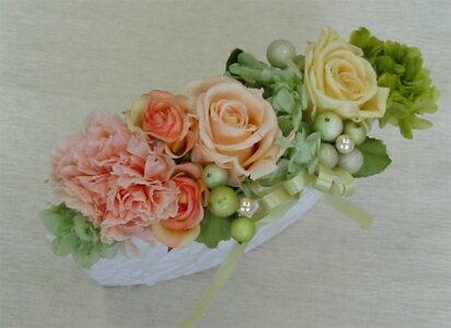 �ץꥶ���֥ɥե�/�ѥ��ƥ륵����