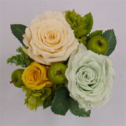 �ץꥶ���֥ɥե�/���꡼�󥢥åץ�