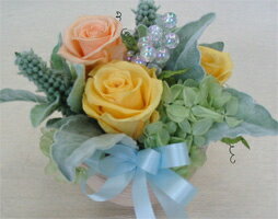 �ץꥶ���֥ɥե�/�ӥ��ߥ�ܡ���