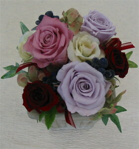 �ץꥶ���֥ɥե�/���������