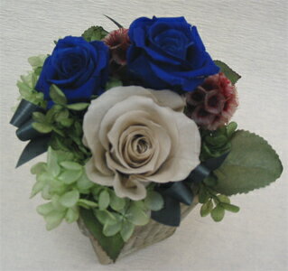 �ץꥶ���֥ɥե�/�⥹�֥롼