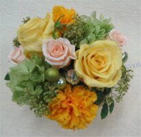 �ץꥶ���֥ɥե�/������ܡ���ڳڥ���_�����ۡڳڥ���_�Τ��ۡڳڥ���_�Τ�����ۡڳڥ���_��å��ۡڳڥ���_��å����ϡ�