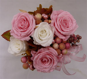 �ץꥶ���֥ɥե�/�ԥ󥯥ܡ���