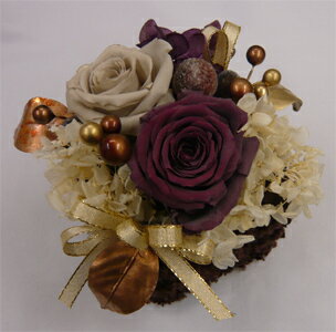 �ץꥶ���֥ɥե�/�����󥿡�BOX���֥饦��