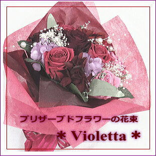 �ڥץꥶ���֥ɥե� ��«�ۥ�������å���Violetta�����������β֡ۡڷ뺧�θ�ˤ��ۡڥץ��ݡ����β֡ۡ��࿦�ˤ� �֡�