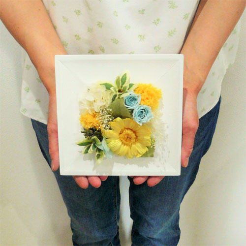 �ץꥶ���֥ɥե�/�ե졼�ࡡ�⡼�˥󥰥�������/�������դ��ڥץꥶ���֥ɥե����եȡ�