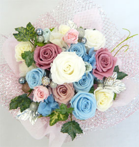 �ץꥶ���֥ɥե�/�֥饤����ե�