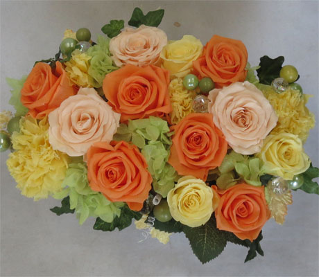 �ץꥶ���֥ɥե�/����٥����������