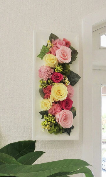 �ץꥶ���֥ɥե�/���ץ�󥰥��顼��L�ڳڥ���_�����ۡڳڥ���_�Τ��ۡڳڥ���_�Τ�����ۡڳڥ���_��å��ۡڳڥ���_��å����ϡ�